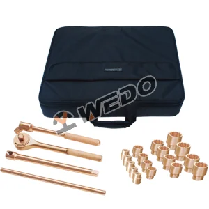 Набор инструментов из 21 предмета AL.W-21