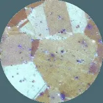 Никелевый сплав под микроскопом