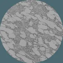 Титан под микроскопом