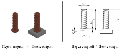 Ёлочка короткий цикл фото