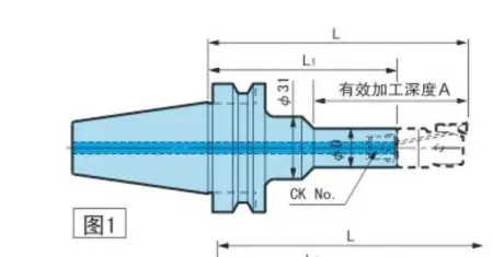Расточной патрон BT30-CK1-105